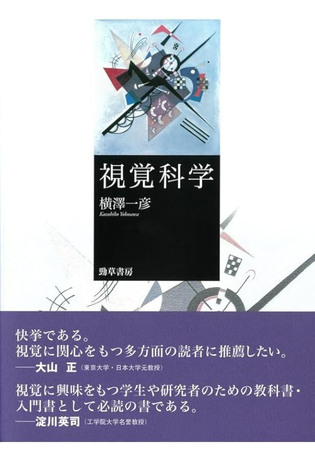 視覚世界の謎に迫る―脳と視覚の実験心理学 (ブルーバックス) | 山口