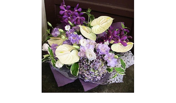 激安単価で パリスタイルの花屋アンスリュームとトルコキキョウ 蘭のお供えアレンジメント 七回忌 三回忌 一周忌 四十九日 お悔やみ 法事花 お供え 生花 Zenwellness Com Br