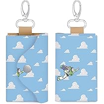 61-BZruC3YL._AC_UL210_SR210,