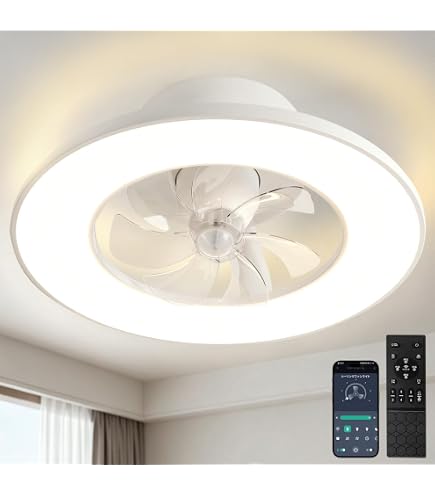 Amazon.co.jp : 【2026モデル】 LEDシーリングファンライト 12畳 14畳