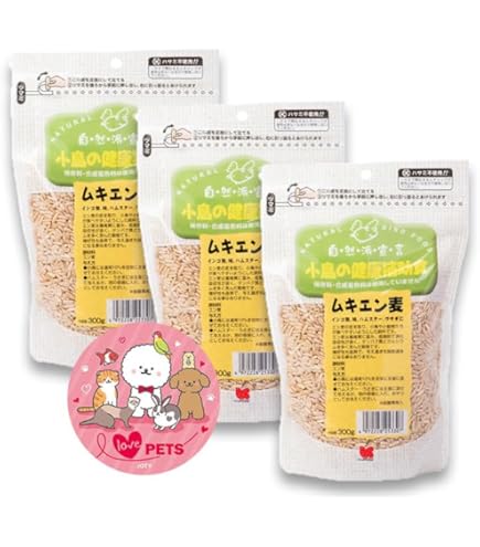 Amazon.co.jp: 平安麦波 麦波 山本雄次 大鉢 清水焼 京焼 鯰