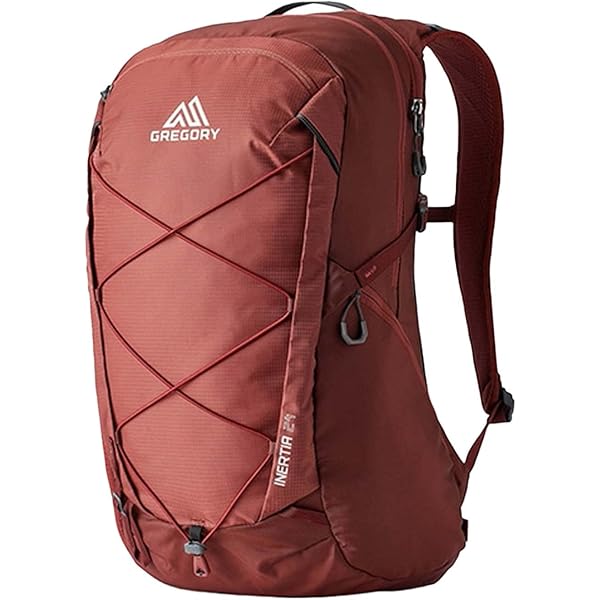 Amazon.co.jp: Gregory Nano 20L ユニ デイハイキング/通勤