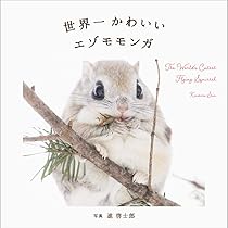 エゾモモンガ出品 Amazon.co.jp: 世界一かわいいエゾモモンガ : 進 啓士郎: Japanese Books