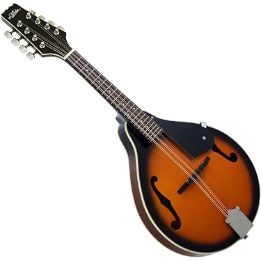 Amazon | ARIA アリア マンドリン AM-20 ハードケース付き
