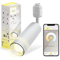 Amazon.co.jp: エジソンスマート TREO ミニスポットライト (ダクト