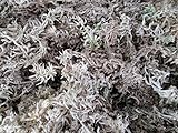 【 翔美苑 】 国産 天然 水苔 乾燥 1ℓ ( 約20g ) 苔玉、蘭 などに