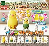 インコマトリョーシカ　全6種セット　ガチャガチャ