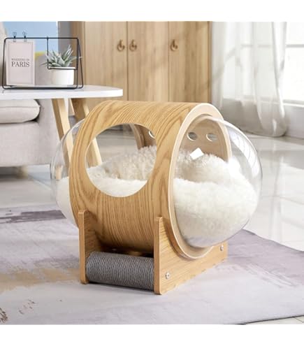 Amazon | 宇宙船 猫ハウス ペットベッド ドーム 床置き 猫ハウス 家具