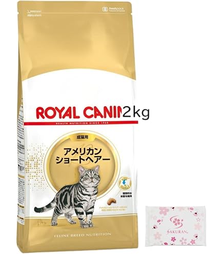  CANIN アメリカンショートヘアー 2kg ドライフード Amazon | ロイヤルカナン アメリカンショートヘアー 成猫用 2kg