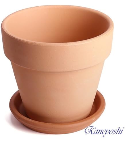 Amazon.co.jp: イタリア製テラコッタプランター リーフキューブ57 （幅