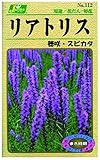 カネコ種苗 草花タネ112 リアトリス 穂咲 10袋セット