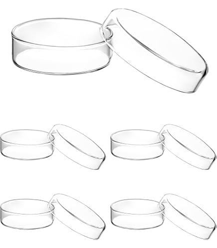 ELabPal 10-Pack Borosilicate Glass Petri Dishes With Lids – 60/90/100mm, Autoclavable & Reusable