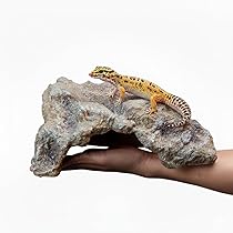 61-MBtSNgSL._AC_UL210_SR210,