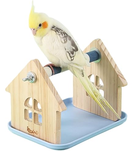 Amazon.co.jp: 鳥止まり木 天然木 スタンド インコ オウム 文鳥 鳥