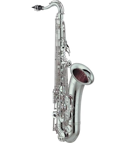 Amazon | YAMAHA/YTS-82Z ラッカー仕上 ヤマハ カスタム テナー