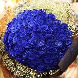 青いバラ ブルーローズ 青ばら 100本の花束 キラキラ白いかすみ草付き 生花　花言葉「可能性」「神の祝福」