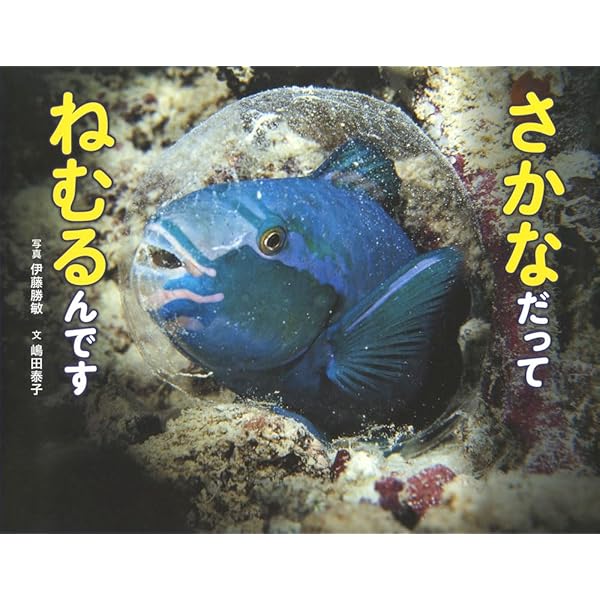 きれいですごい! 魚 (生きものびっくりシリーズ) | 松浦啓一, 赤木