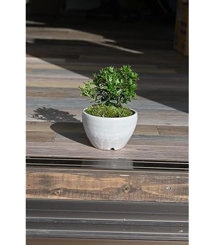 ヒイラギ様★専用商品★ SABOA レディースボアサボサンダル【22.0～25.5cm対応】 | 激安