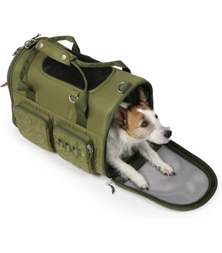 Amazon.co.jp: ペットパラダイス 犬 キャリーバッグ スヌーピー