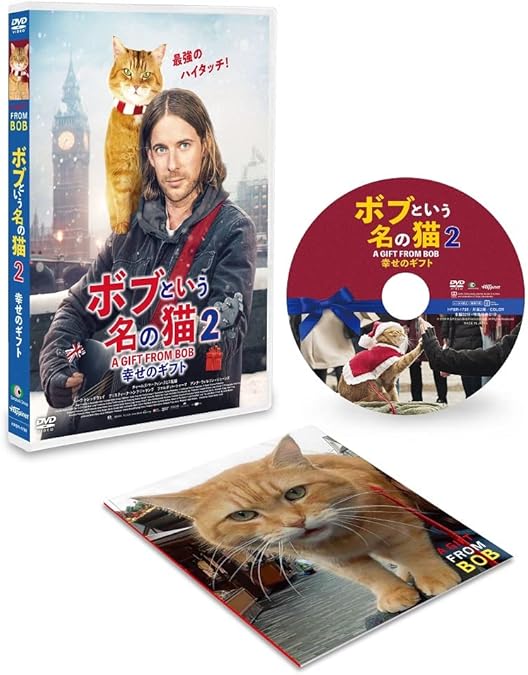 猫企画　DVD WORKS | SPEED INC.