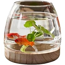 ヴィンテージ金魚鉢　メダカ飼いなどに ヴィンテージ金魚鉢 メダカ飼いなどに