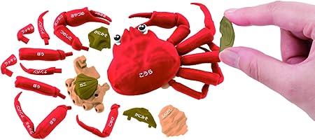 一杯買い!! ズワイガニ解体パズル -茹で-