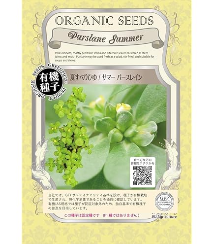 Amazon.co.jp: ♯Kyi07Ejわくわくブロックvol.6全12種 : DIY