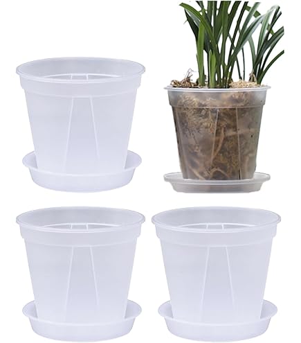 Amazon.co.jp: beyourchoi 植木鉢 透明 スリット鉢 透明 5個 底