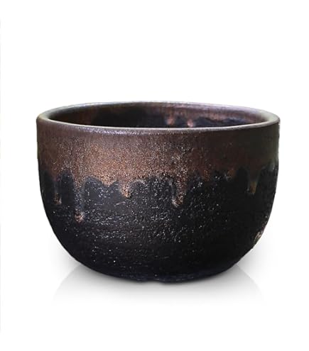 Qusamura　寒川義雄　×　叢　サボテン　/　鉢 /　作家 白磁　/ 盆栽 Amazon.co.jp: Qusamura 寒川義雄 × 叢 サボテン 鉢 作家 白磁