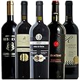 ヴィネクシオ 厳選イタリア 赤ワイン イタリア名家飲み比べ ソムリエ厳選 ワインセット 750ml 5本セット