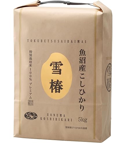 Amazon.co.jp: 長谷園×siroca 全自動炊飯土鍋 かまどさん電気 SR