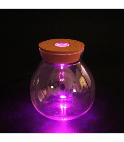 Amazon.co.jp: 【苔庵介る】苔テラリウム ガラス容器 LED付き ラウンド