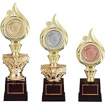 Amazon | [レーザー彫刻名入れ] GOLD SHACHI 表彰楯 盾 ボール