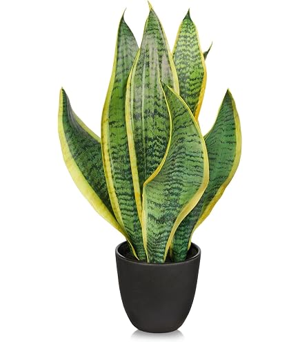 Amazon｜IKEA/イケア FEJKA/フェイカ：人工観葉植物68 cm アレカヤシ 