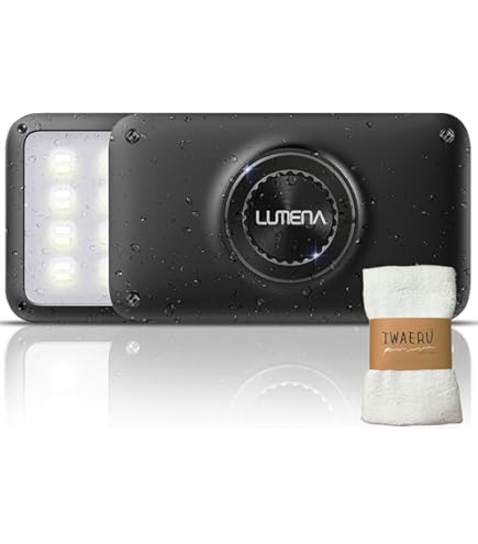 Amazon.co.jp: 【type-C】LUMENA2X ルーメナー 日本正規品＆保証