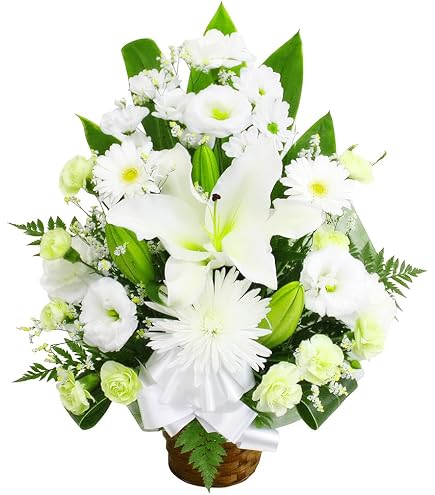 Amazon | お供え用 胡蝶蘭 花 お盆 初盆 四十九日 故人 バルーンギフト