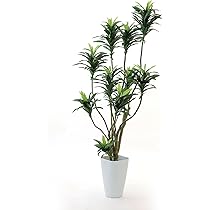 Amazon｜公式｜造花ドットコム No8449 銀 酸化チタン 光触媒フェイク