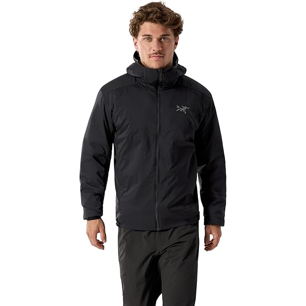 Amazon.co.jp: [アークテリクス] ARCTERYX ベータジャケット男性用 (JP