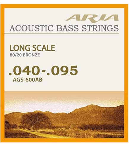 Fender アコースティックベース 4弦 Fender アコースティックベース 4弦 Fender アコースティックベース 4