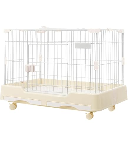 Amazon | 市瀬 ハチコウステンレスケージ SSL-SOP | 市瀬 | 飼育ケージ