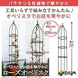 組立 かんたん ローズオベリスク 全４規格 高さ170cm、180cm、210cm (リング径40cm×高さ210cm)