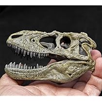 世界に一つ、不世出！ティラノサウルス・レックス　頭骨　1/10 木彫16.5cm 61Jphkyn1NL._AC_SY200_QL15_.jpg