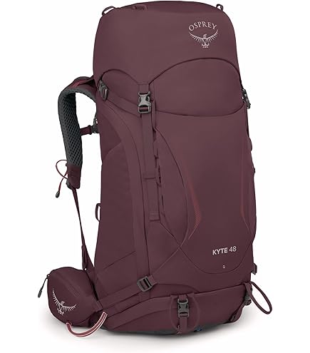 Amazon.co.jp: [オスプレー] バックパック リュックサック 48L
