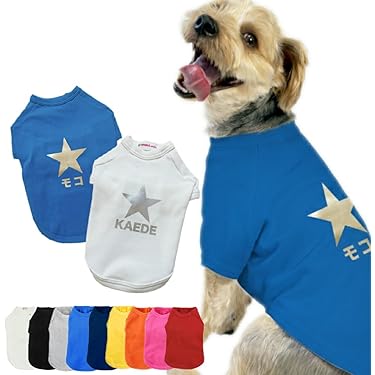 Amazon.co.jp 最新リリース: 犬用服・アクセサリ の新着ランキングです。