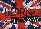BORN THIS WAY�`LIVE&DOCUMENT from TOUR 2013�uDevilish of the PUNK�v�`