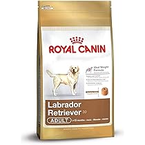 ロイヤルカナン　 CANIN ラブラドールレトリバー 12kg ロイヤルカナン ＼10％OFFクーポン有／ 犬 ラブラドール