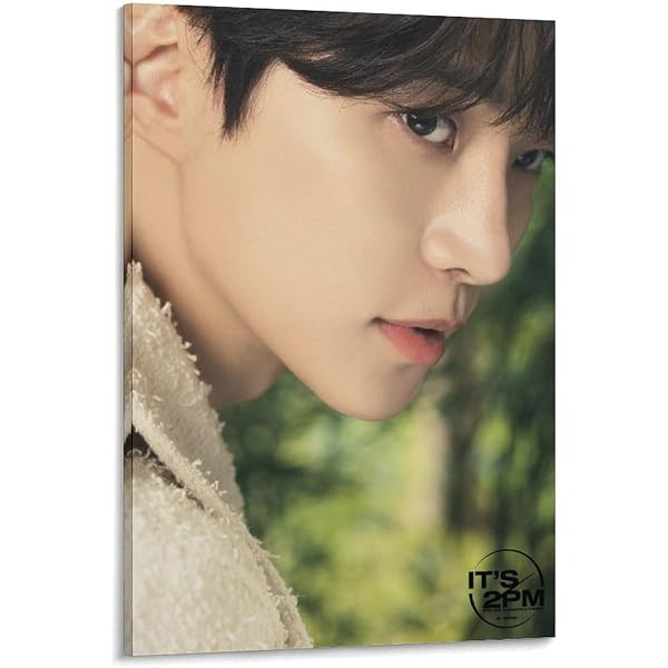 Amazon.co.jp: 2PM WILD BEAT~240時間完全密着!オーストラリア疾風怒濤