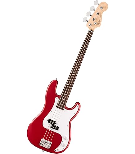 Amazon.co.jp: Fender Rumble LT-25 - デジタルエレキベースギター
