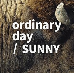 SUNNY / tacica