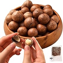 Amazon｜マカダミアナッツ割り器 クルミステンレススチールピーカン